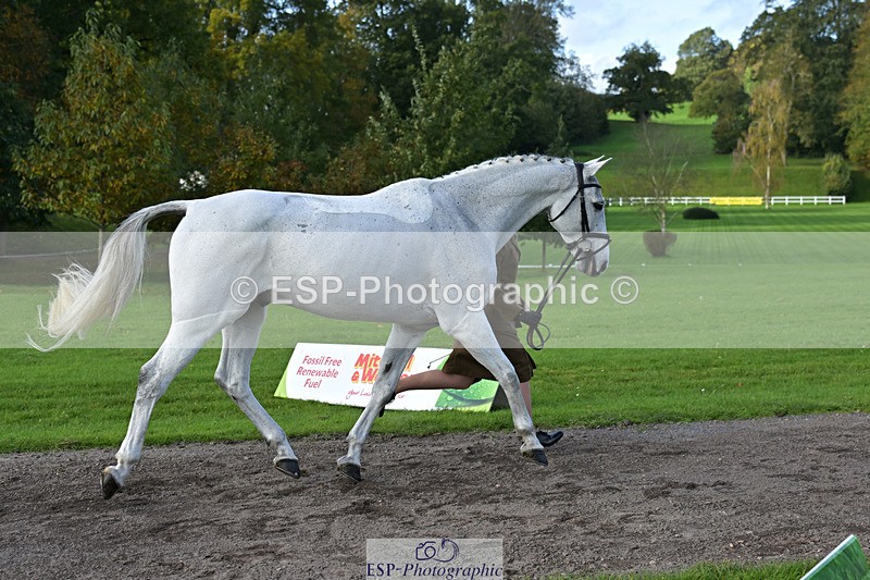 241023-131201-00128 - 007-Lucy.Wisher-VALDOCTRO