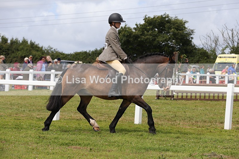 1X9A4076 - Class 32: Show Hunter Pony 153cm and under