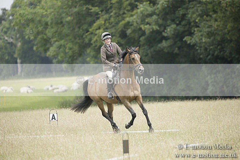 B230619-0619 - Bourne Valley Riding Club Summer Show 23/06/19