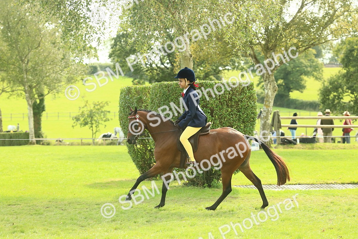 SBM_68091 - S57 - Part Bred Pony Ridden