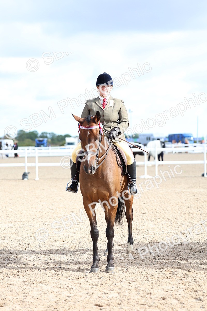 SBM_09176 - Class 303 - Ridden Pure Bred Horse Pony
