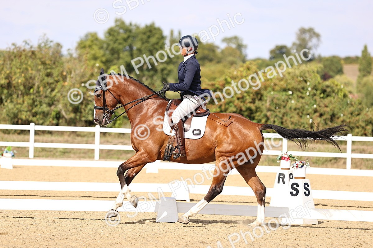 SBM_015205 - Class 8 - Medium 5