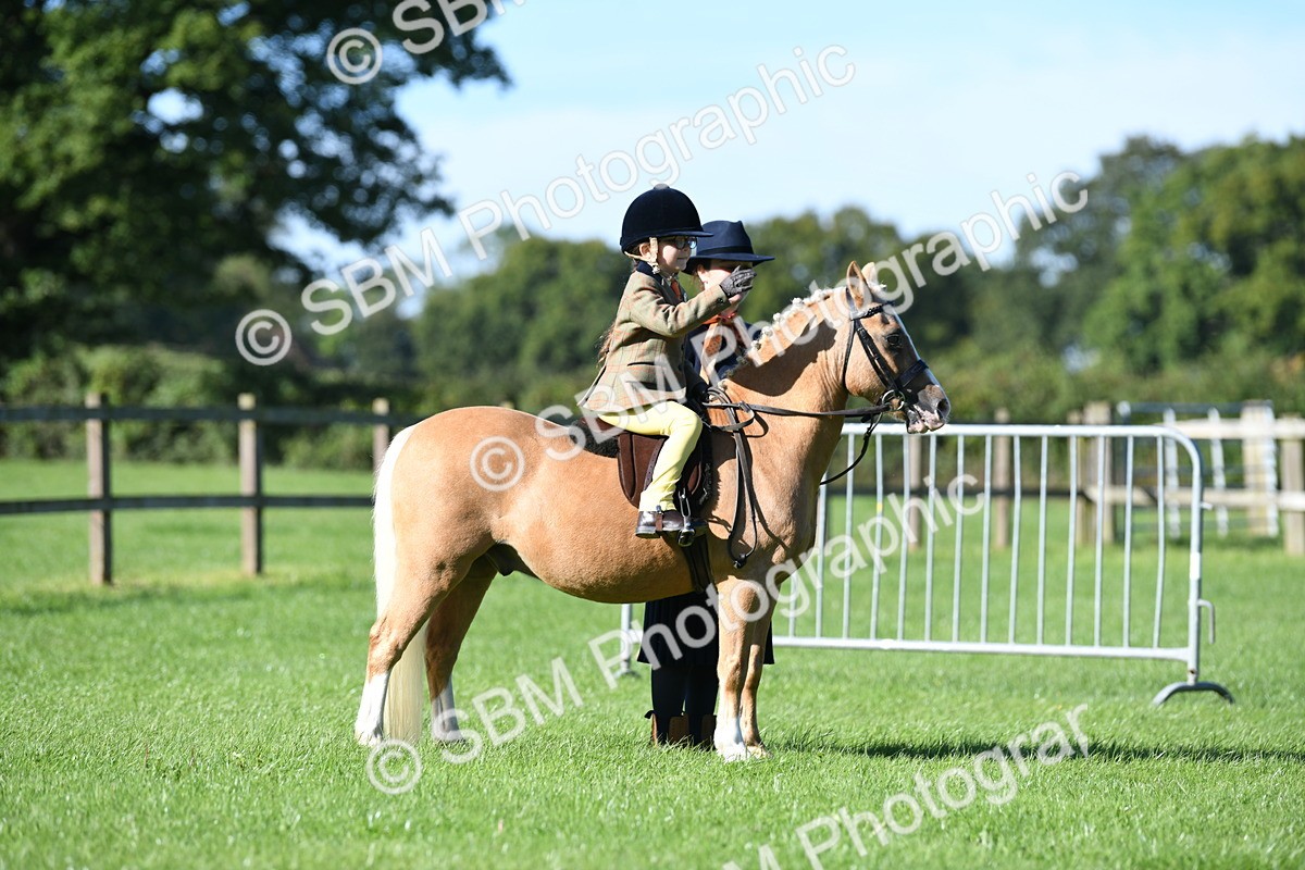 SBM_36823 - S18 - Novice & Newcomers Lead Rein Pony
