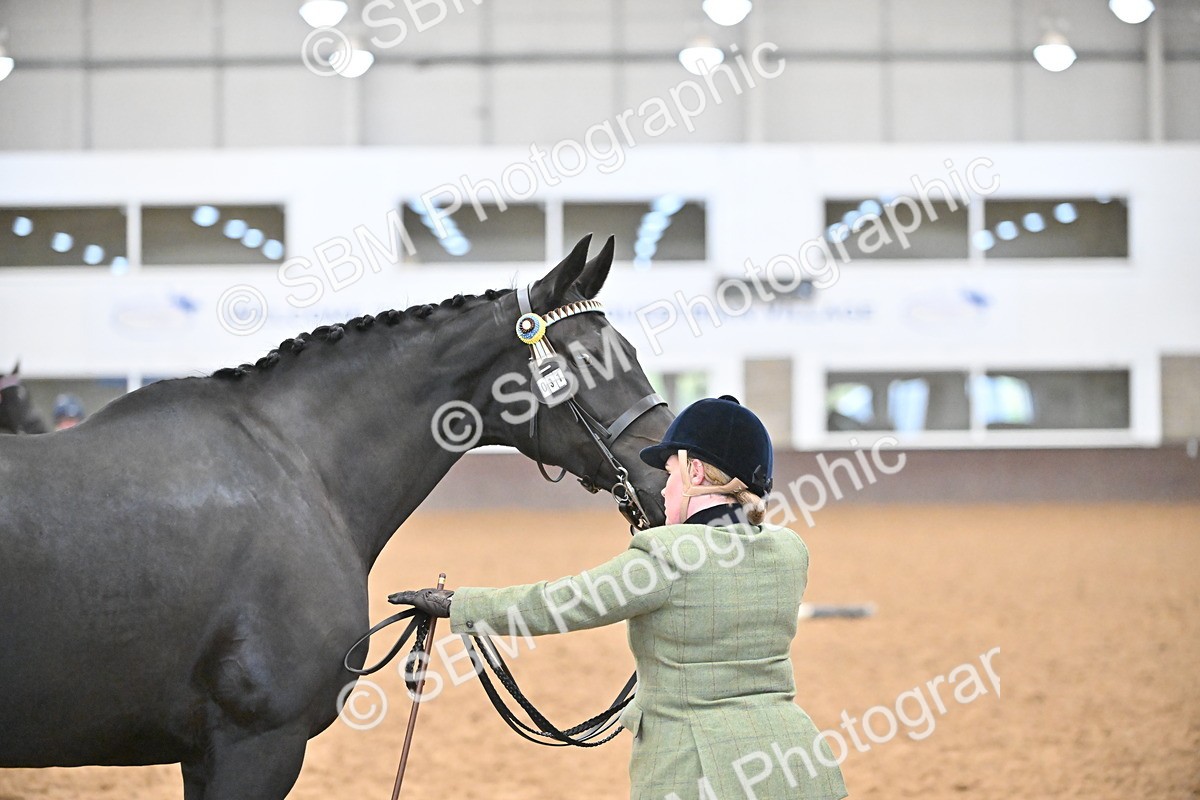 SBM_000238 - Class 7 - ROR Tattersalls In Hand