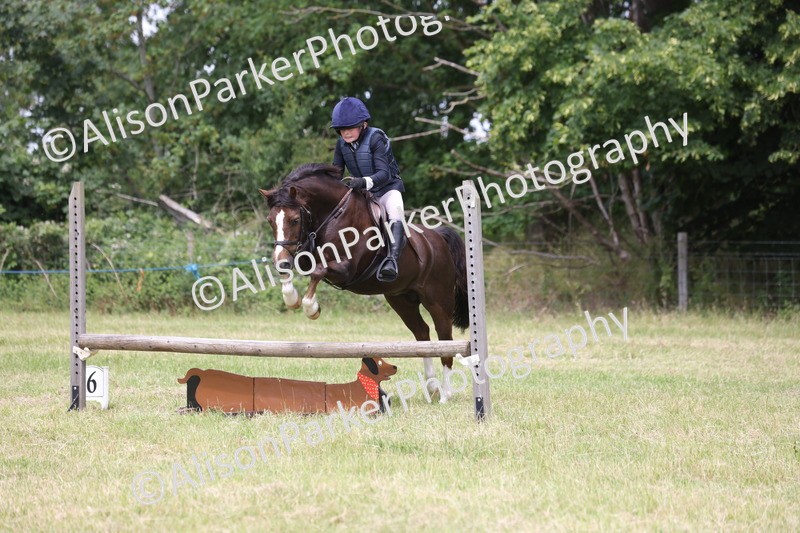 20260614-2776 - Class 22 - Open Working Hunter