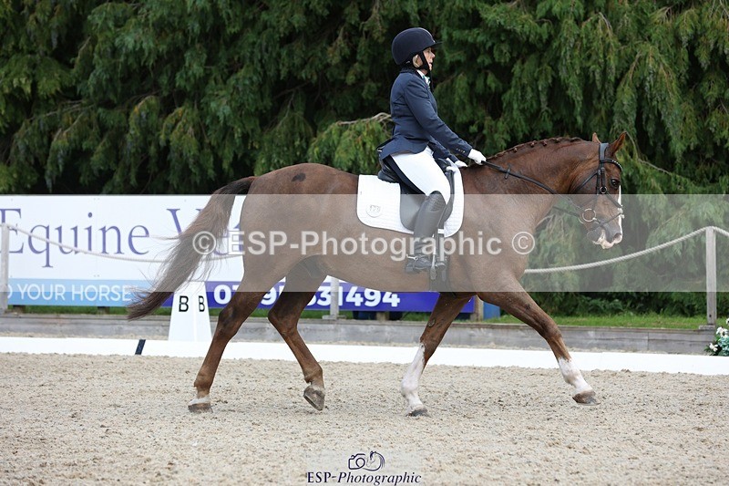 230812-134648-04312 - Cls 5 Novice Bronze 13.40 to 14.45 break