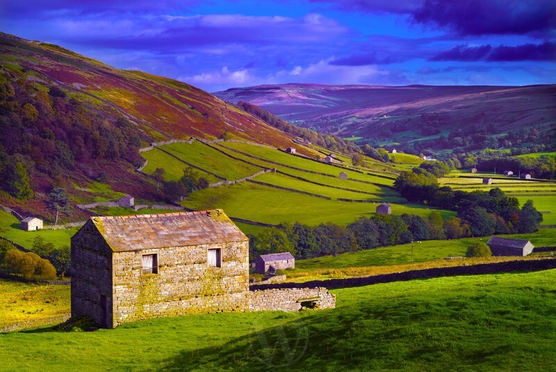 Swaledale Yorkshire Dales England - Land