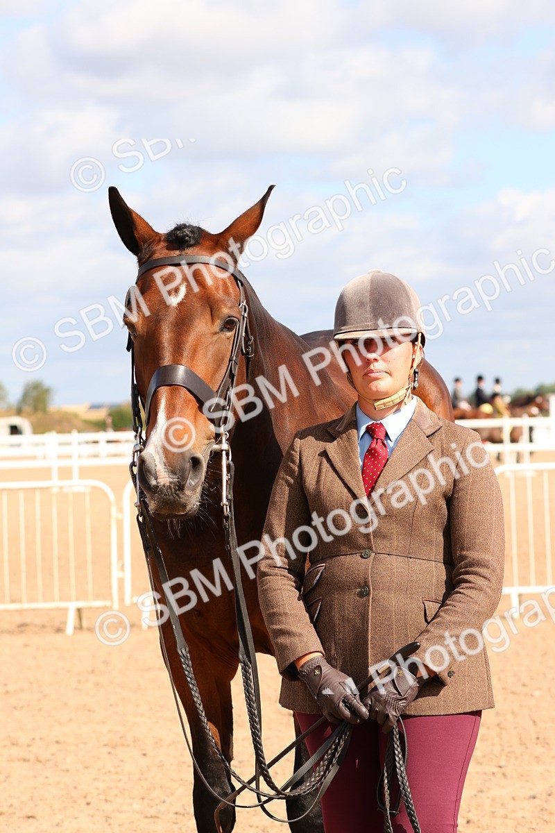 SBM_11737 - Class 208 - IH Veteran Horse