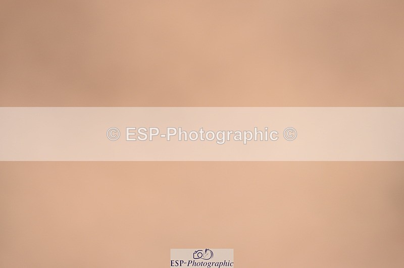 230711A-172836-00262 - 80cm