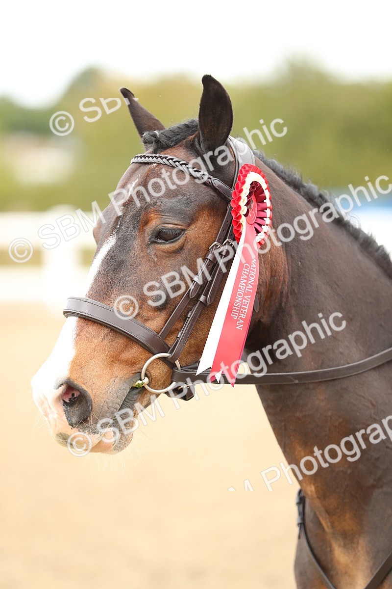 SBM_05263 - Class 47b Style & Performance 60cm (20+)