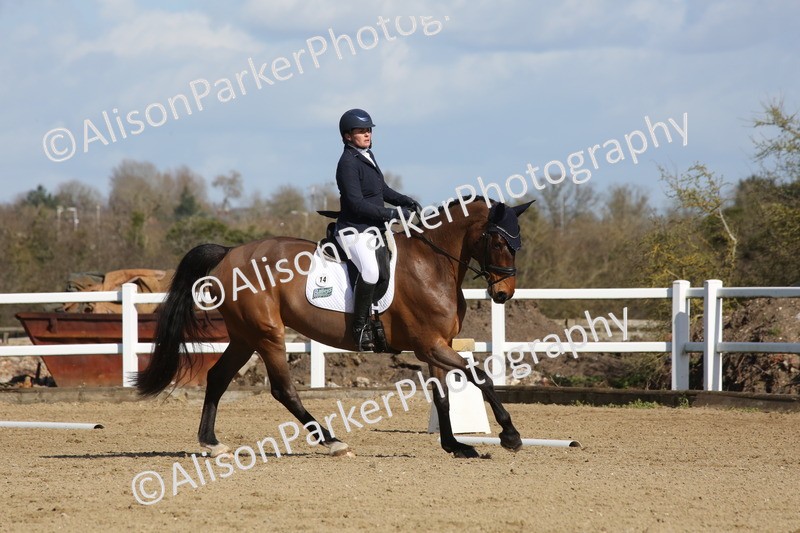 20260314-4101 - CT4 - Novice 1