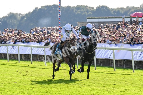 111025-Race 3-Laazm-0333 - Race 3 Coral 'Daily Reward Shaker' For Free Nursery Handicap at York