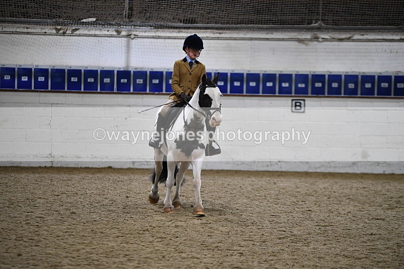 WJ5_7315 - Class 11 Ridden PC - RC Pony