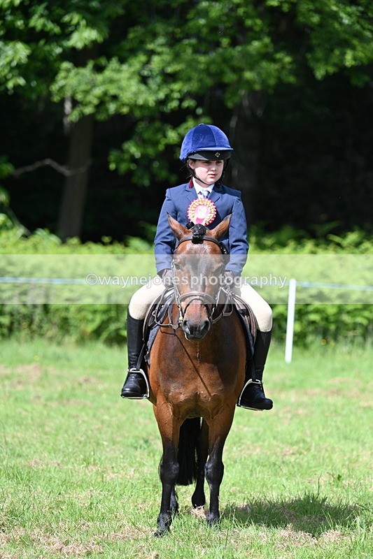 WJ7_0924 - Class 8 First Rally Pony