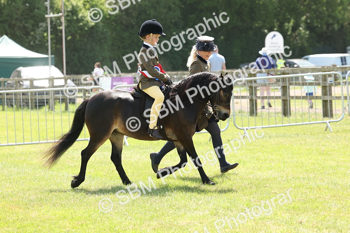 SBM_05424 - Class 24-25 - Mountain & Moorland In Hand Lead Rein and First Ridden