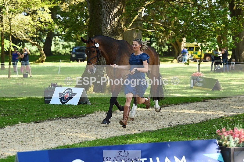 230524-161310-00765 - 256-ALS_RUSSIAN_ROLEX-Jemima_Howden-WEDTrotUp+DR