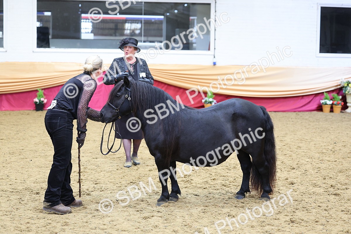 SBM_22862 - Class 903 - Supreme Final - IH Pre Vet