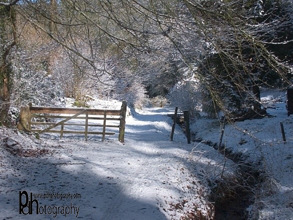 Snow-gate1363 - Mendips