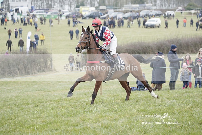 PtP 040323 432 - Duke of Beauforts Hunt Point-to-Point Didmarton 04/03/23
