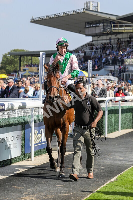 310824-Race 2-Democracy Dilemma-1170 - Race 2