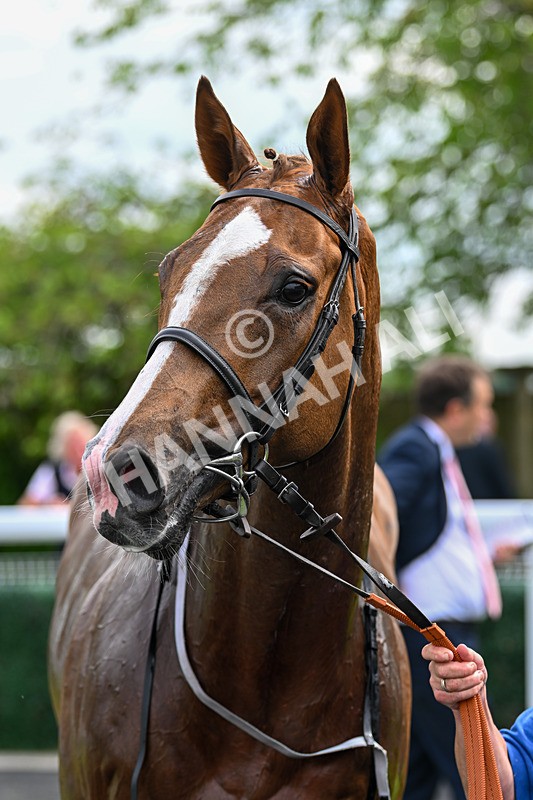 240525-Race 4-My Harrison George-1340 - Race 4