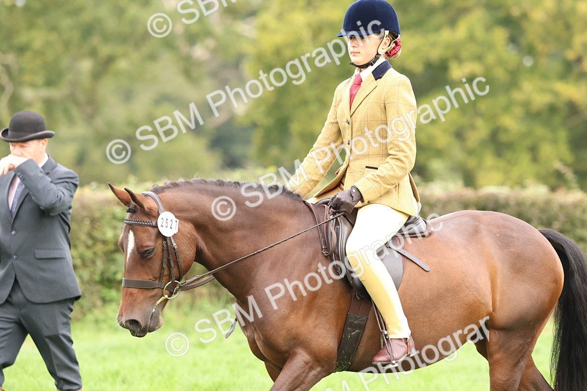 SBM_56720 - S40 - Starters Ridden Showing