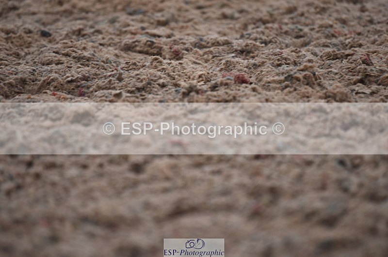 230708A-150344-03214 - Novice 24