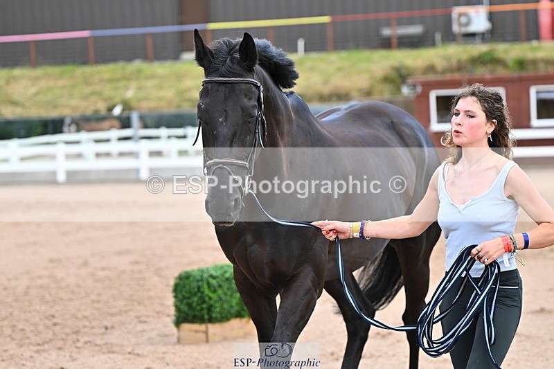 240718A-105325-01972 - Trot Up 2pm to 3pm - This folder is not in time order