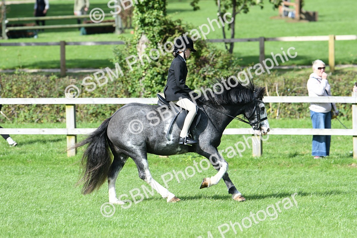 SBM_47090 - S12 - Family Horse & Pony