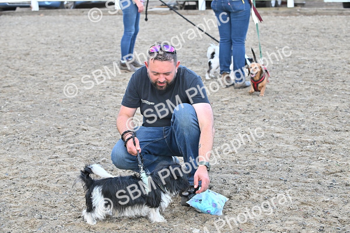 SBM_09543 - Lorry Dogs