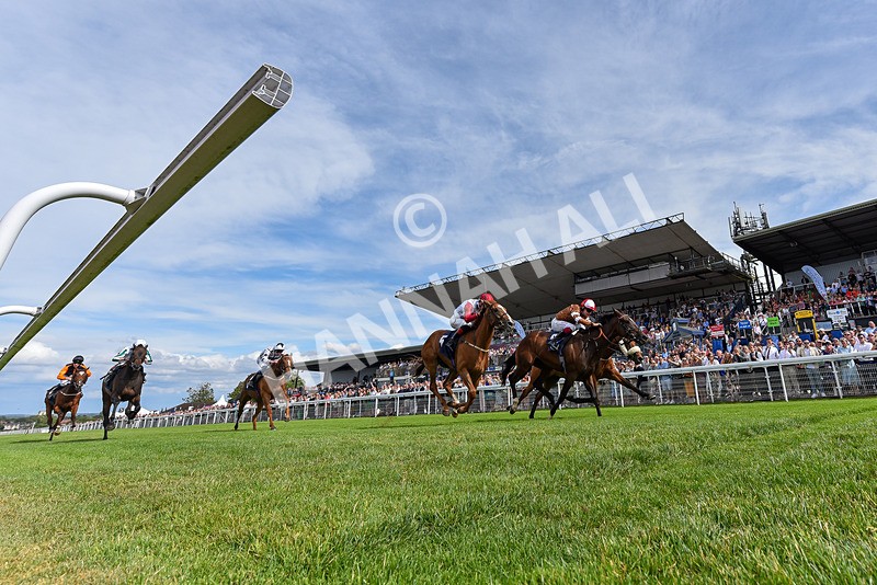 050725-Race 5-Take A Breath-6120