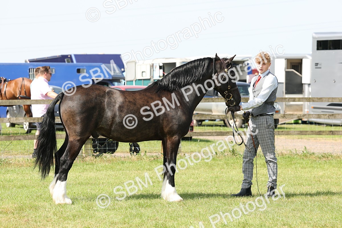 SBM_02305 - Class 6-13 - Mountatin and Moorland In Hand Welsh Breeds