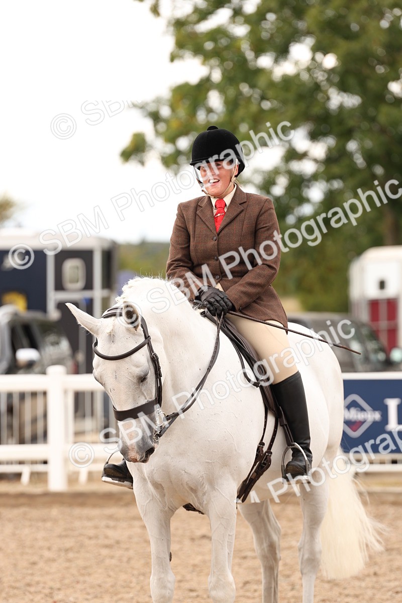 SBM_16510 - Class 212 - Ridden Hunter - Small