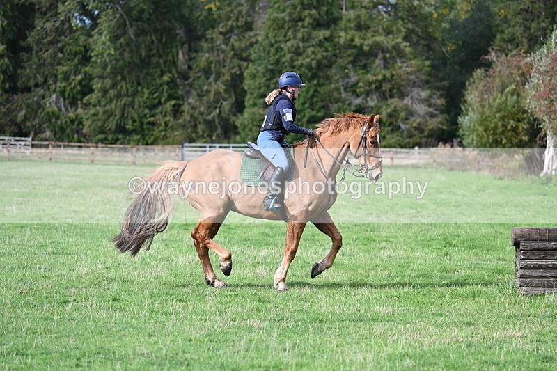 WJ7_0331 - Time 13:55 to 14:26