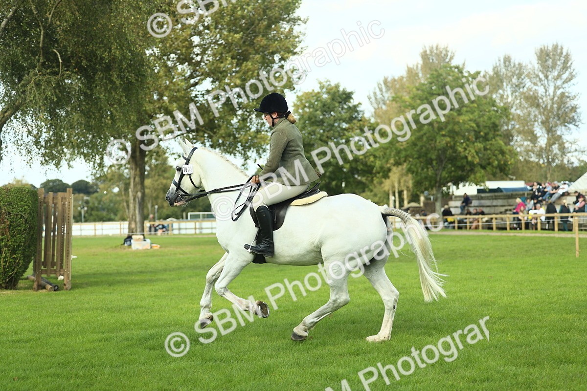 SBM_50696 - S33 - Working Hunter & Working Show Horse