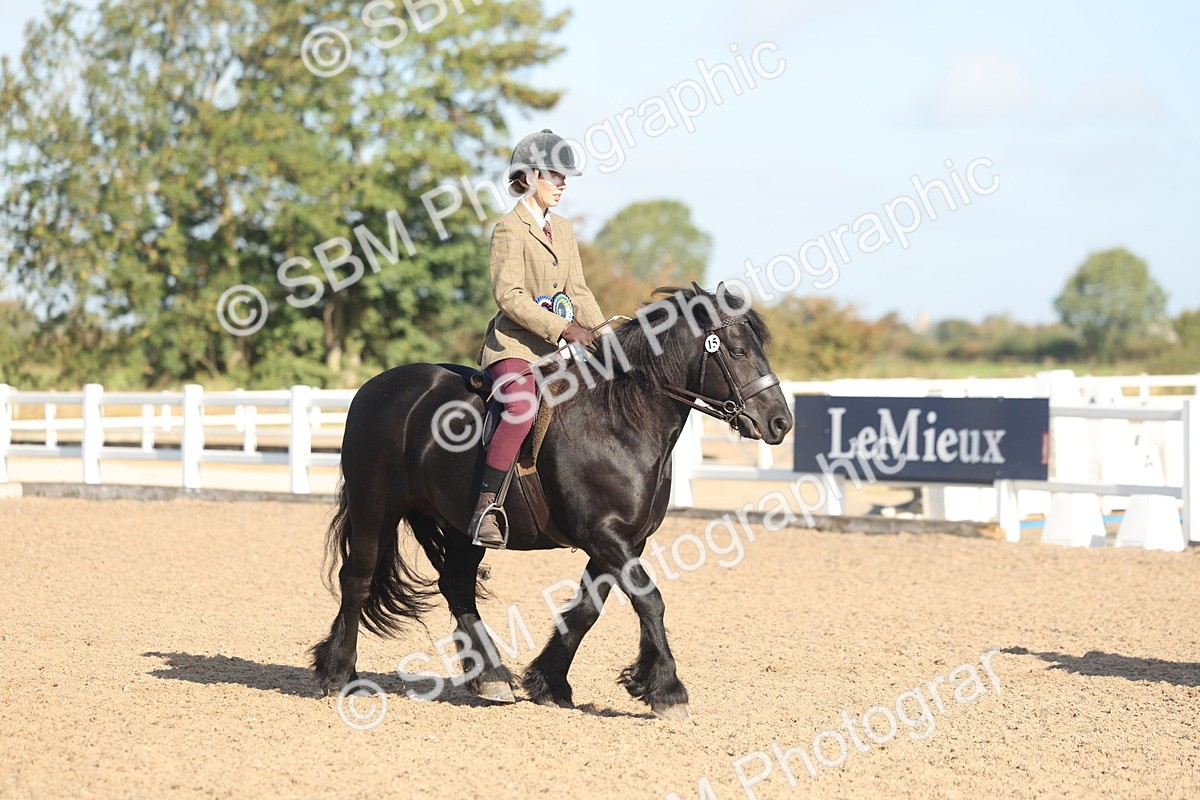 SBM_22261 - Class 802 - Ridden Groom Helpers Class