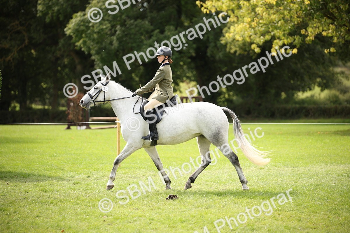 SBM_42321 - S13 - Pony Club Pony