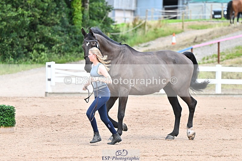 240718A-105323-01941 - Trot Up 2pm to 3pm - This folder is not in time order