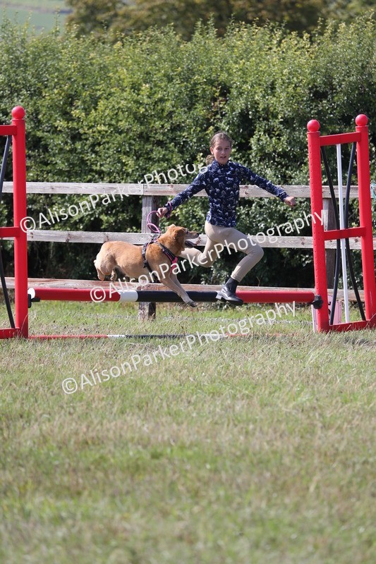 20260906-1615 - Class 10 - Horse & Hound