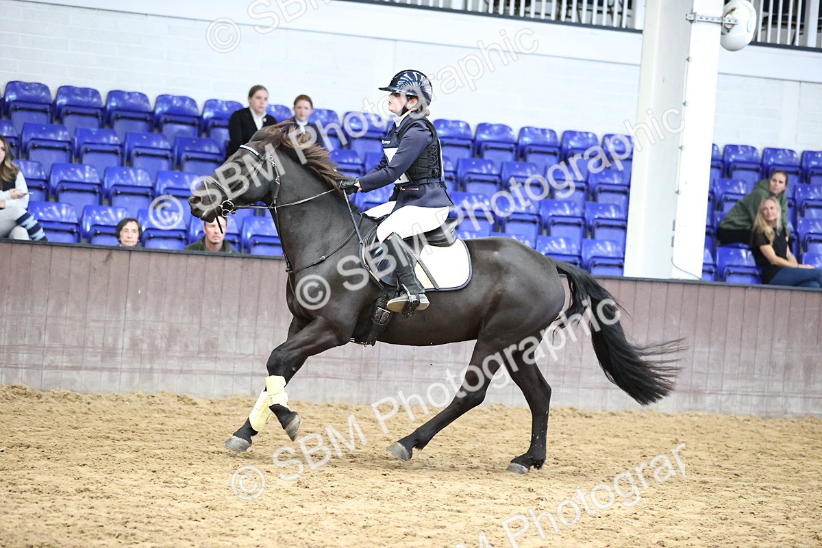 SBM_002086 - Class 6 - Mida Civil Engineering Ltd 80cm Area 12 Championship Qualifier