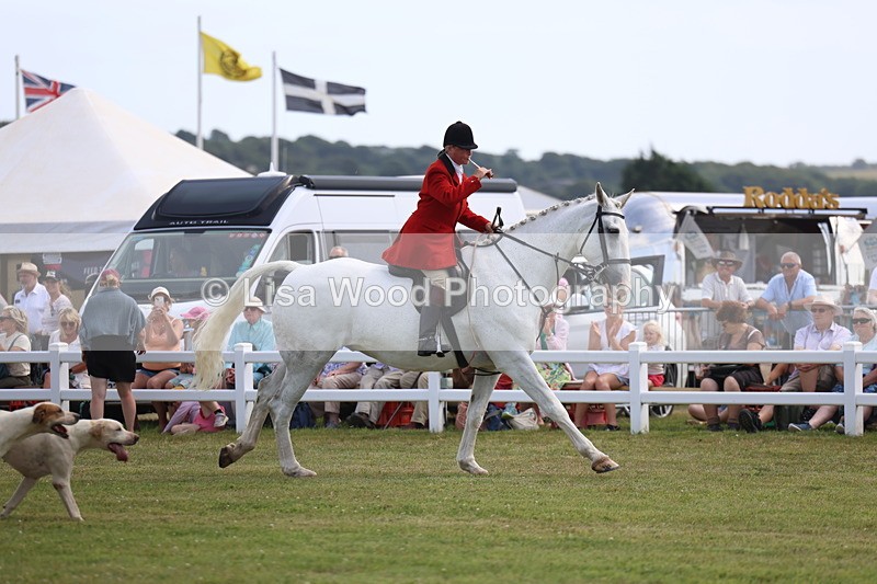 3E7A0230 - Parade of Hounds