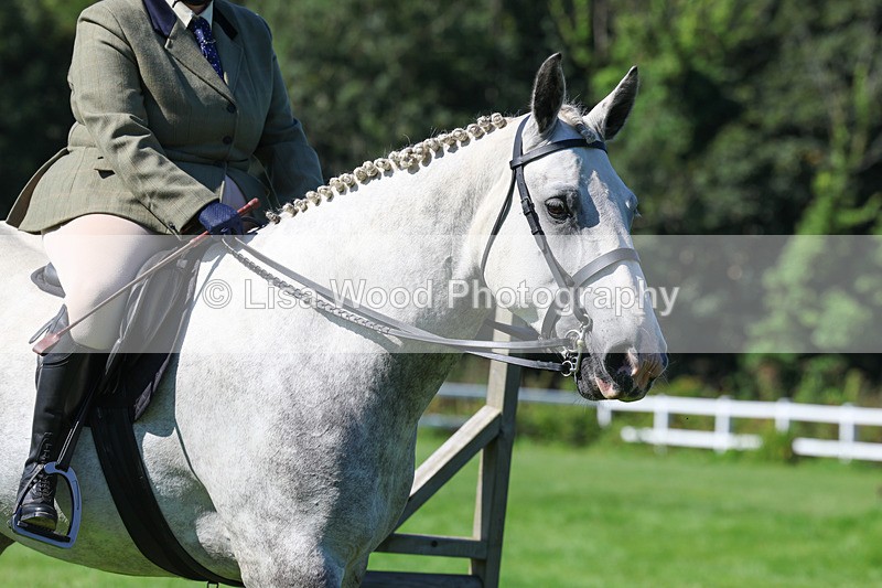 3E7A8264 - Class 4: Novice working Hunter