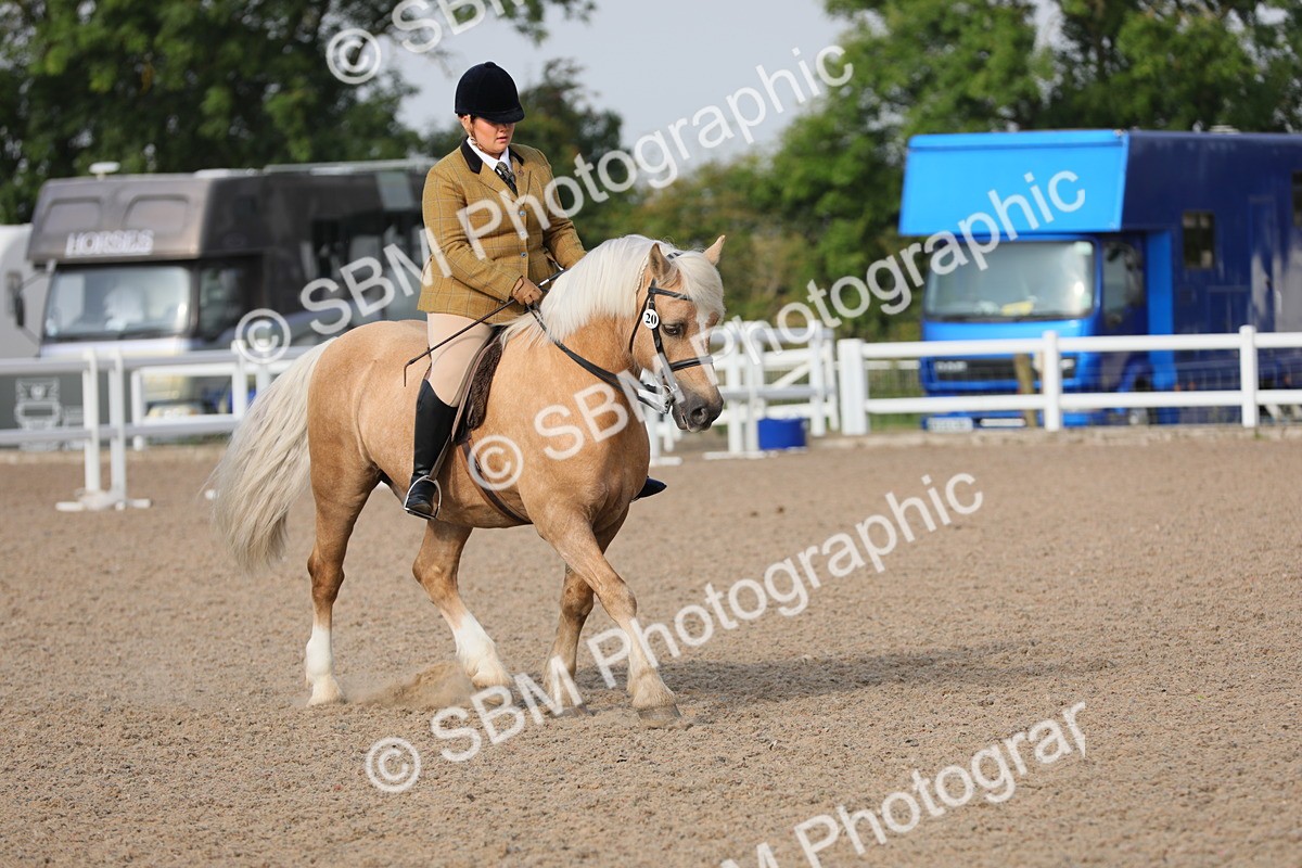 SBM_10110 - Class 302 Ridden M&M -Large Breeds
