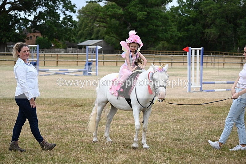 WJ6_5008 - Class 11 Fancy Dress