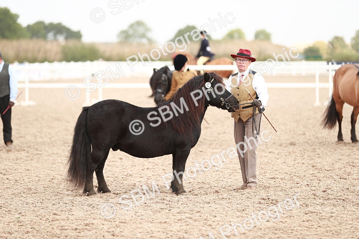 SBM_12523 - Class 207 IH M&M