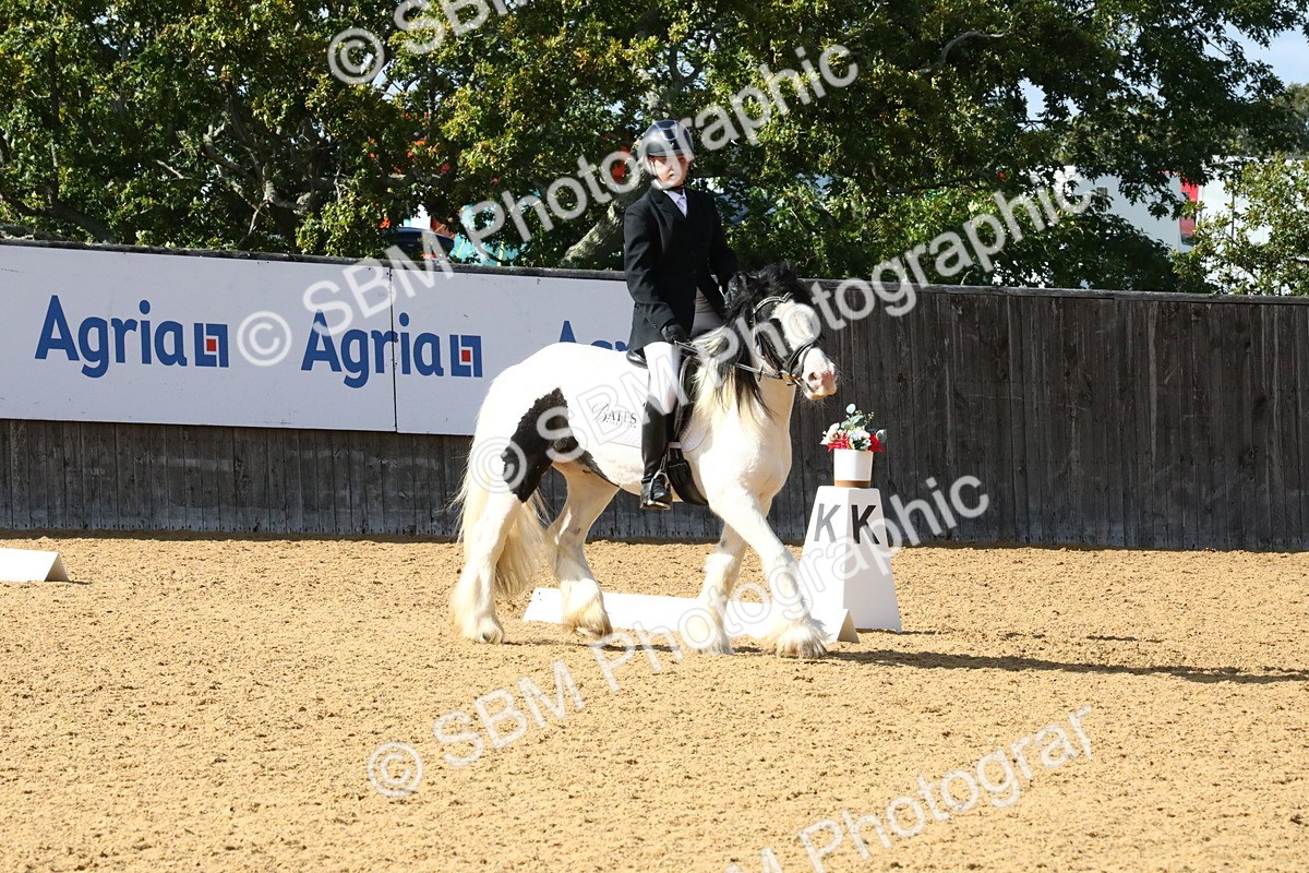 SBM_24443 - D5 - Small Tour Championshop Intro 2