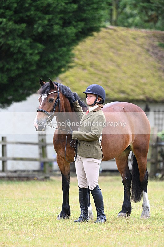 WJ7_6322 - Class 4a Prettiest Mare over 14hh