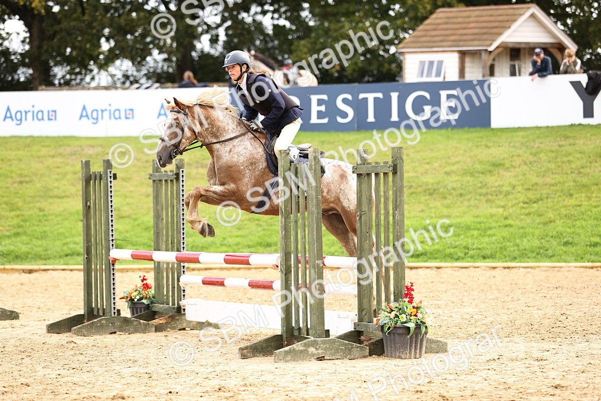 SBM_41197 - J40 Senior Horse & Pony 90cm Supreme Championship