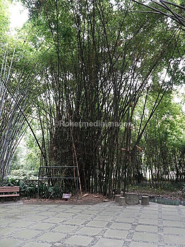 CHINA__0287 - China 2019