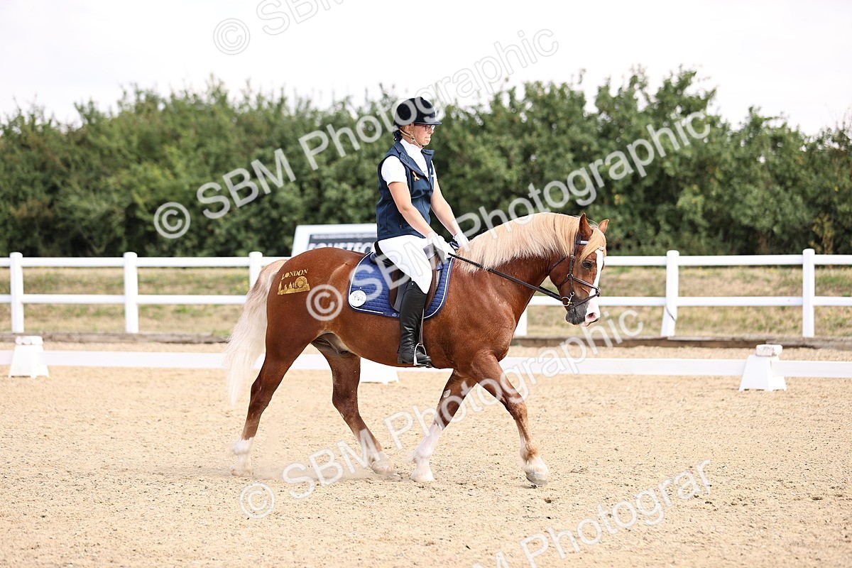 SBM_006568 - Intro 3 - 9.46-10.46